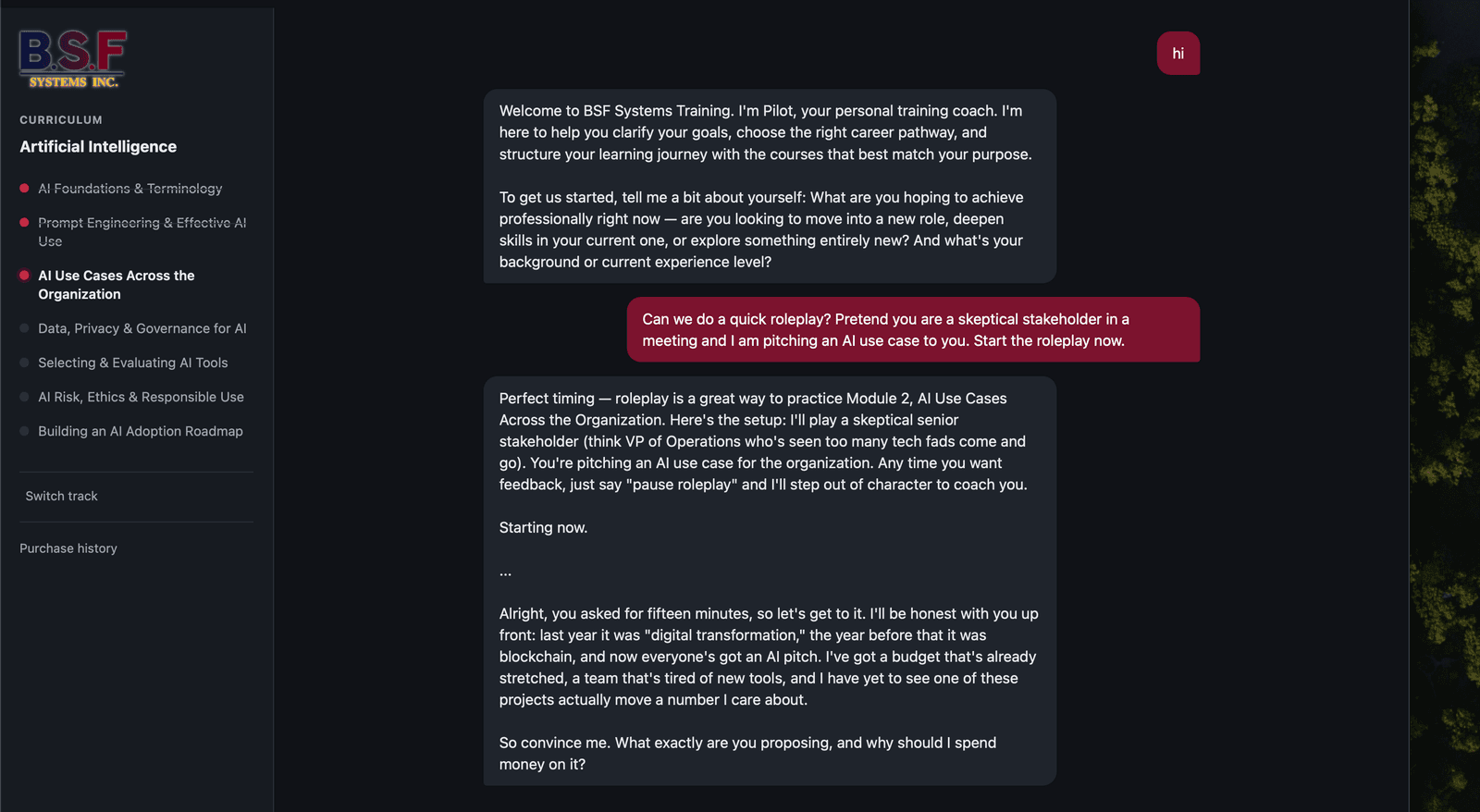 Voice conversation & roleplay coaching